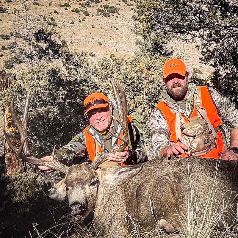 Brandy Colorado Buck