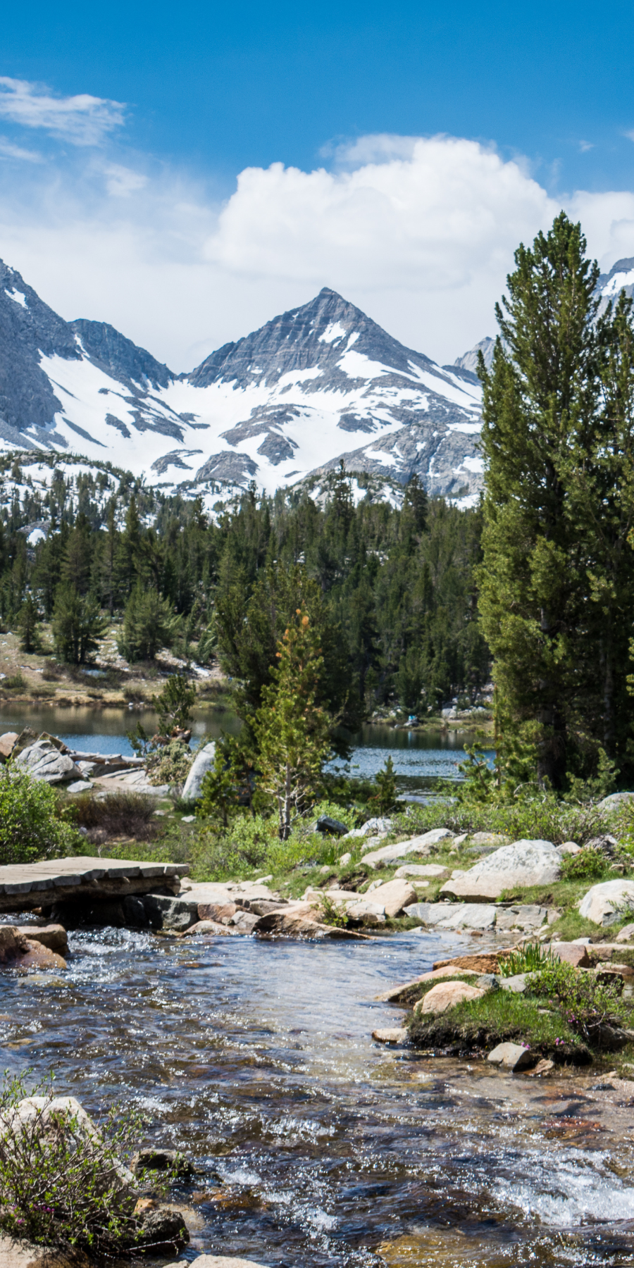 California Guides & Outfitters