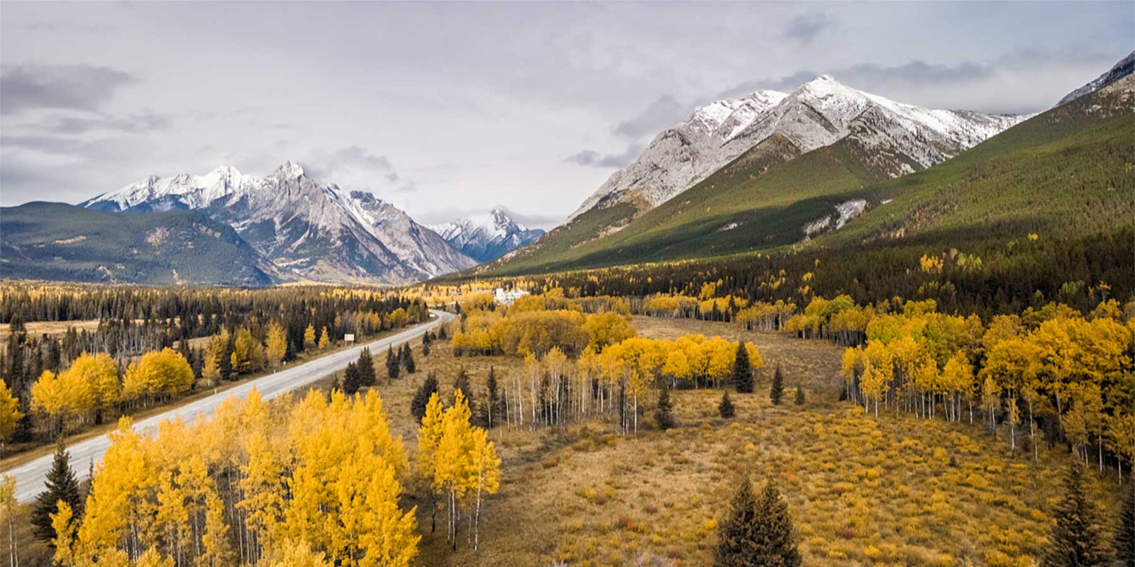 Canada Hunting & Fishing Outfitters / Guides