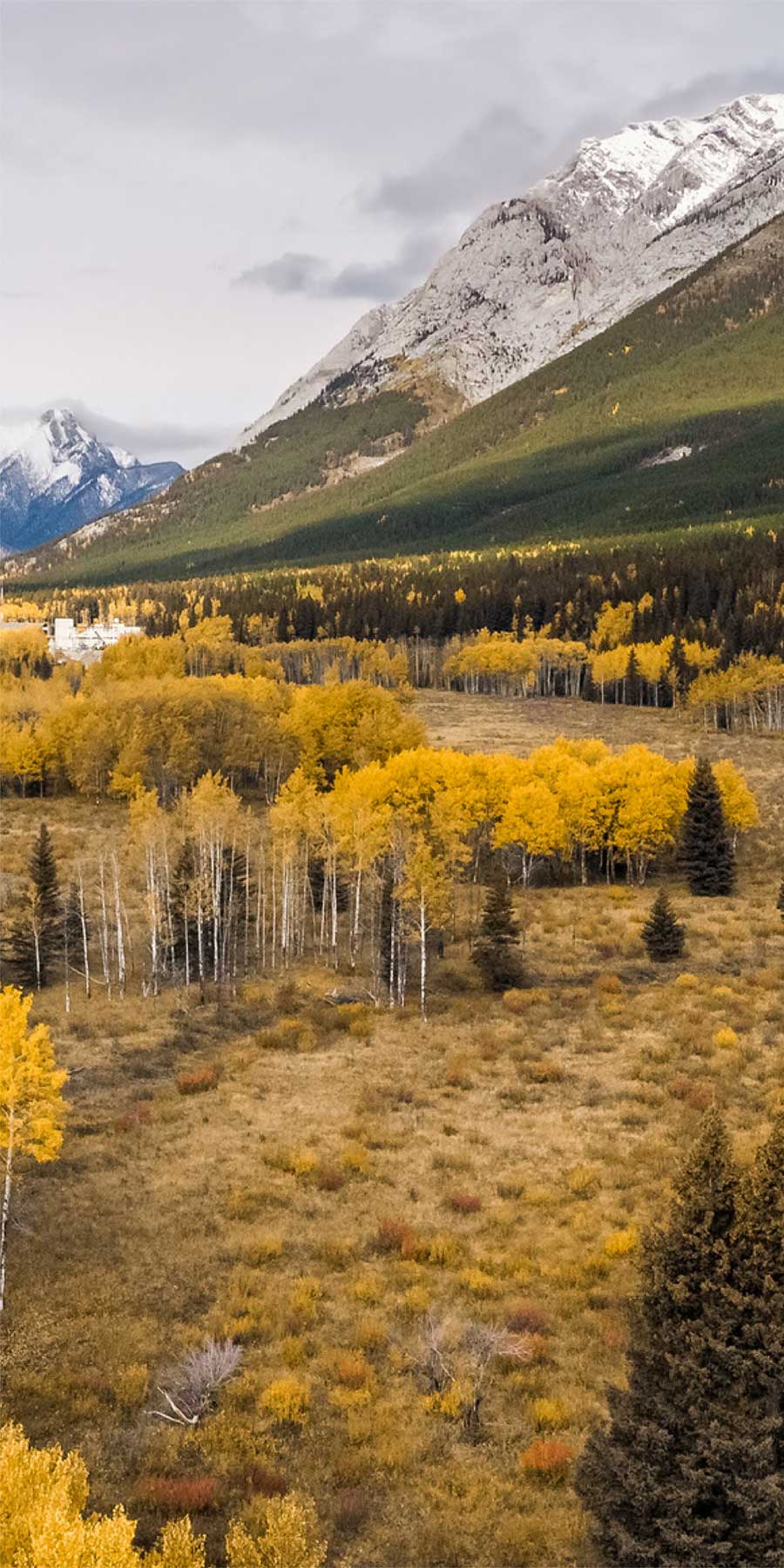 Canada Hunting & Fishing Outfitters / Guides