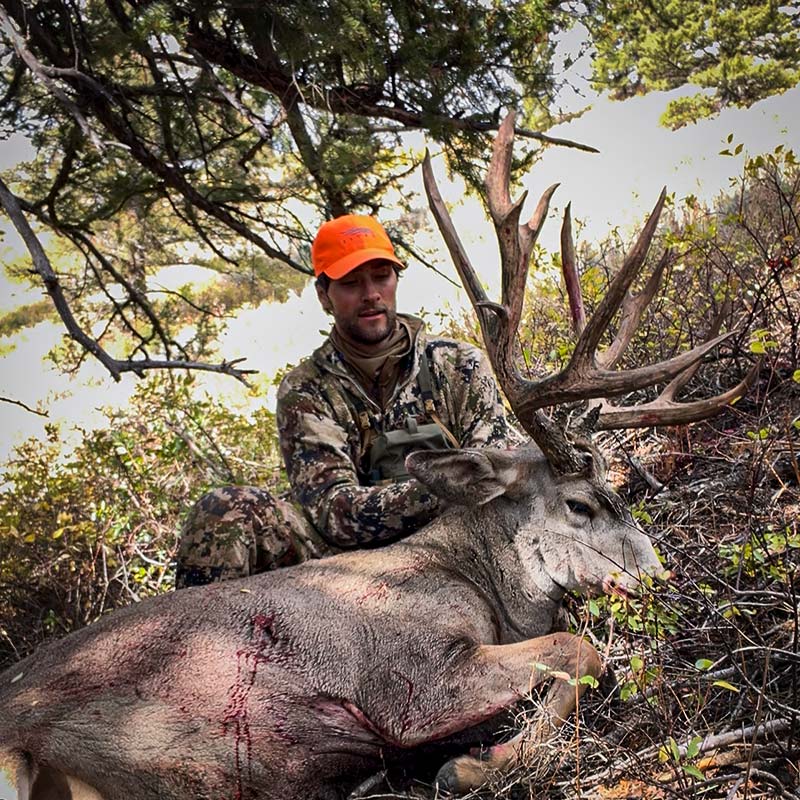Chase Giant Buck