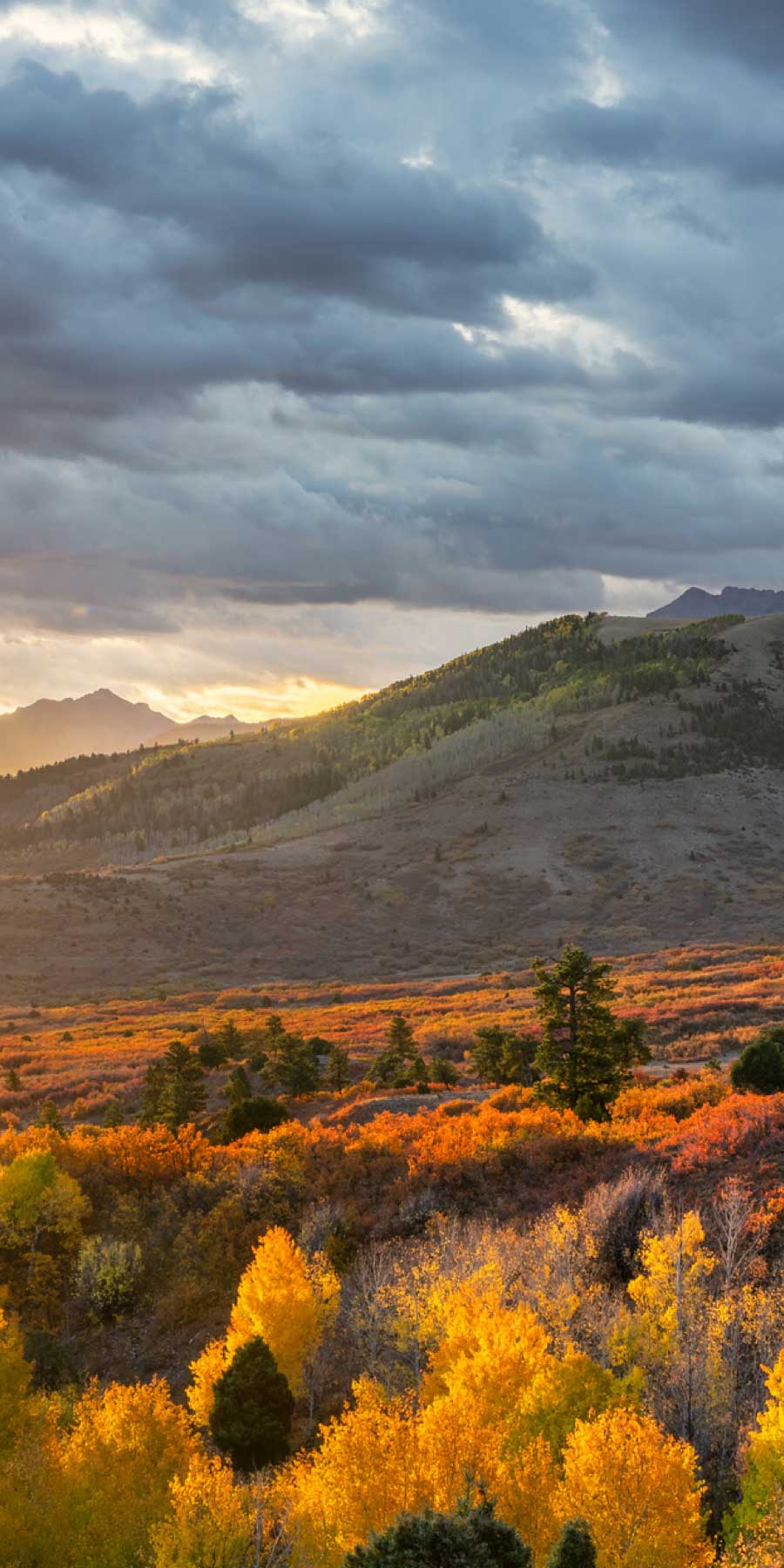 hunting & fishing in colorado