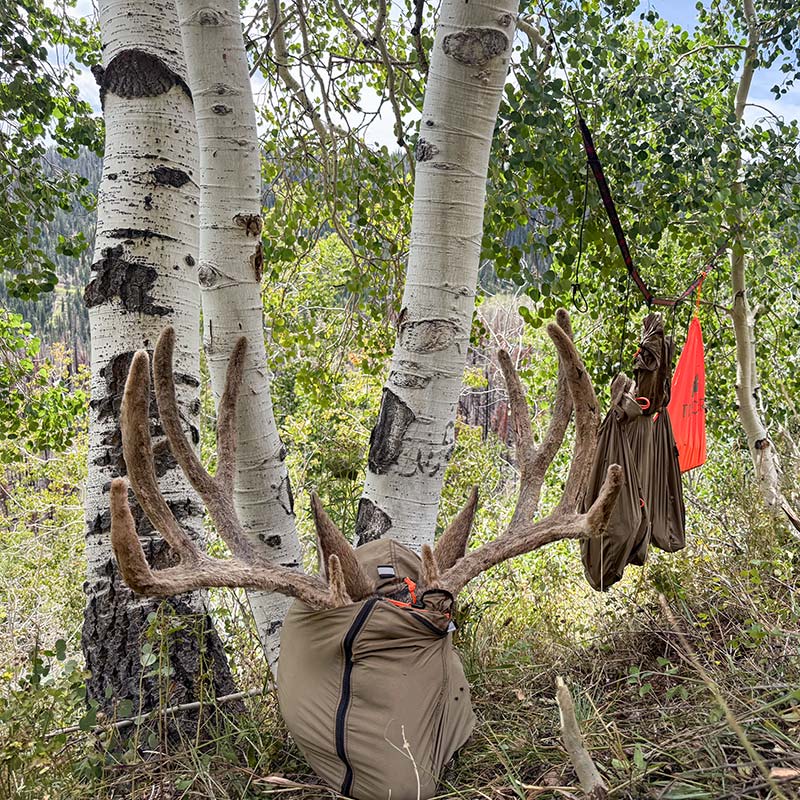 Coltons Big Utah Buck