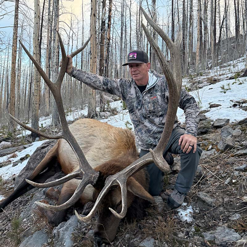 Jims Colorado Bull