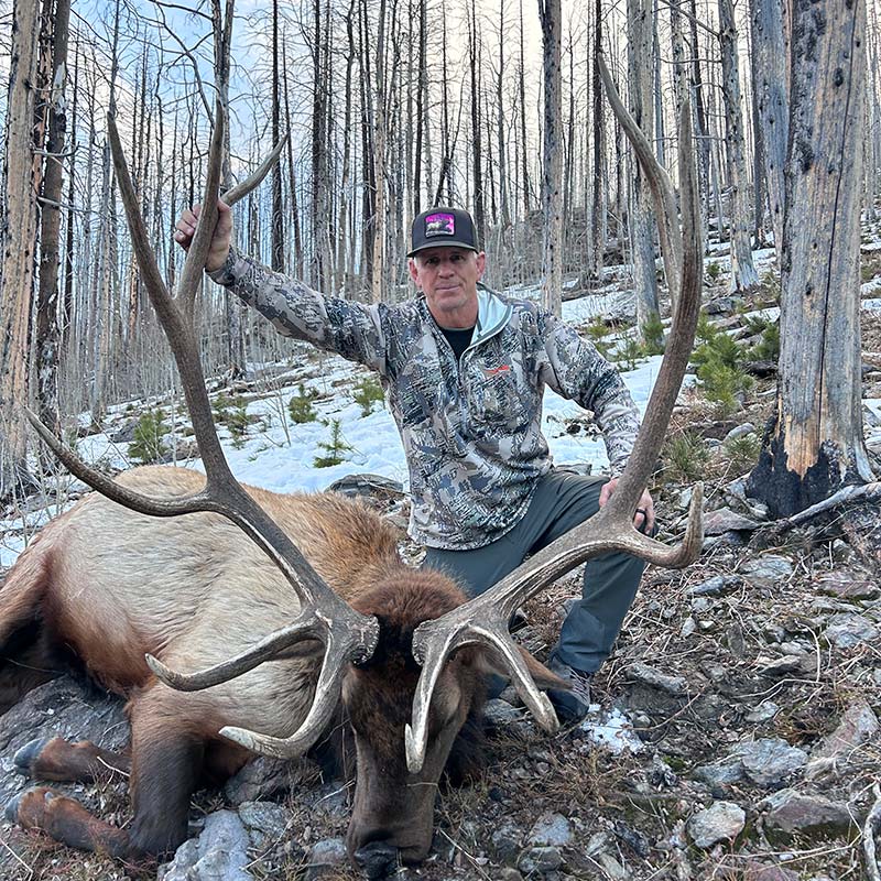 Jims Colorado Bull