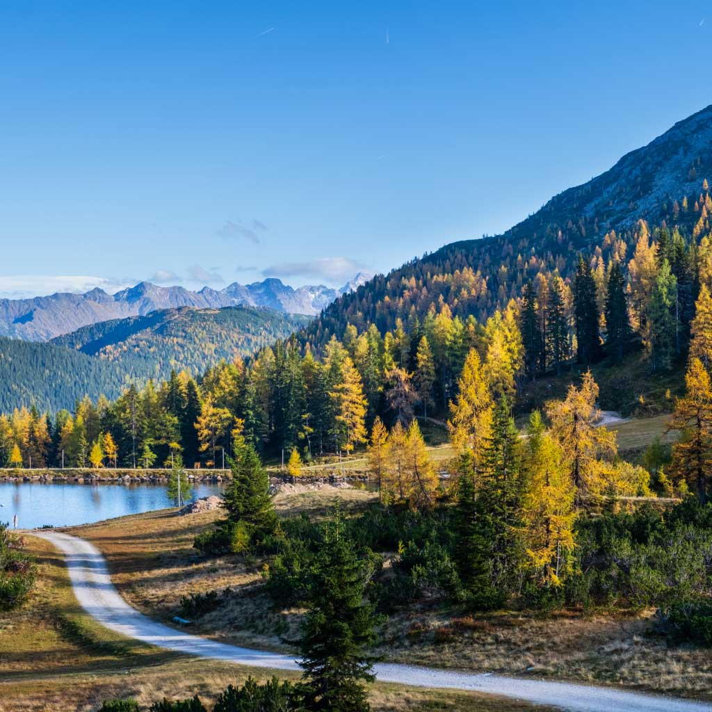 Hunting Ranches for Sale – Trophy Land and Big Game Properties ...