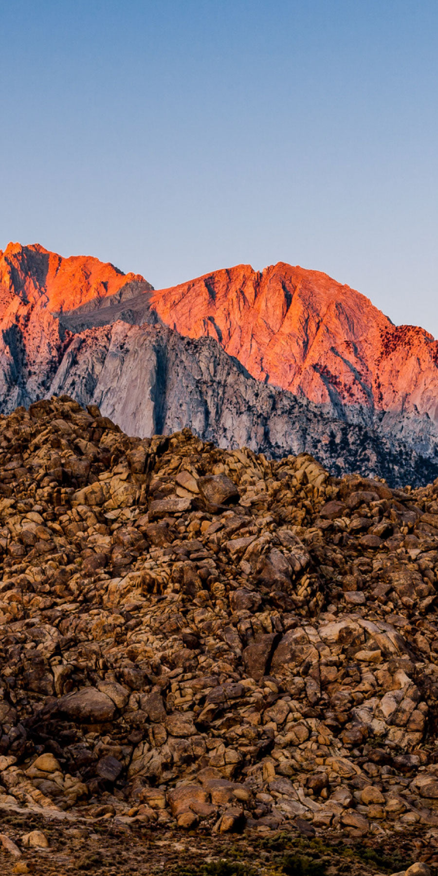 Nevada Outfitters Nevada Big Game Nevada Hunting Guides