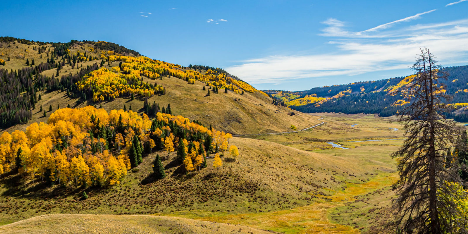 Hunting And Fishing In New Mexico 