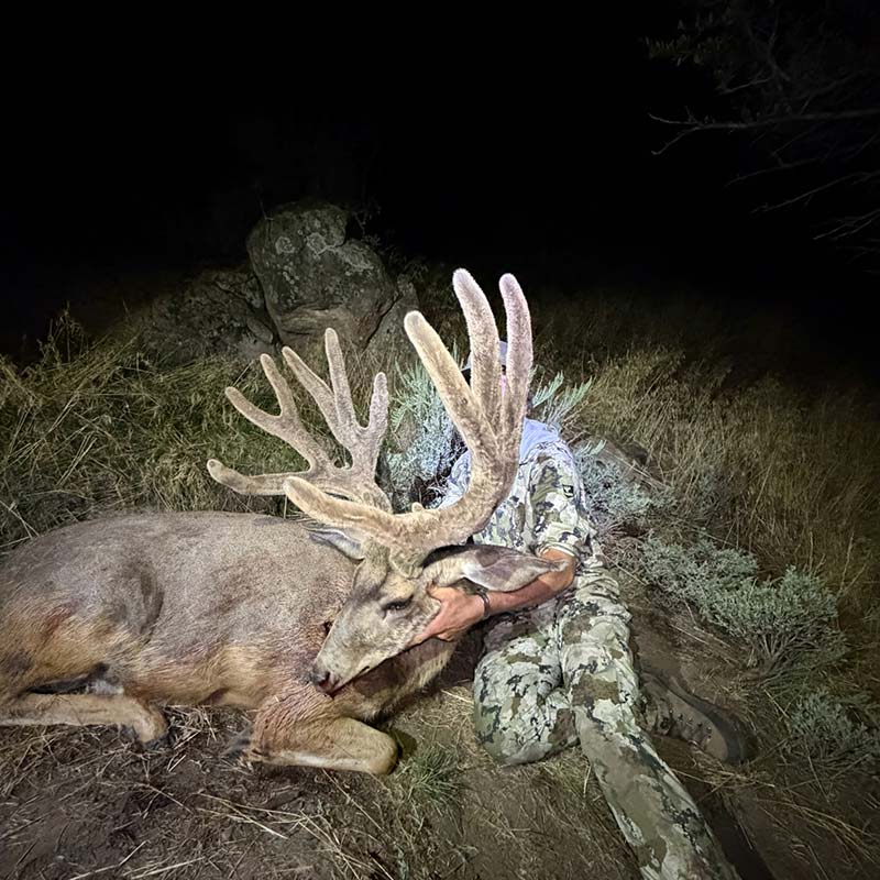 Tayts Buck "Moose"